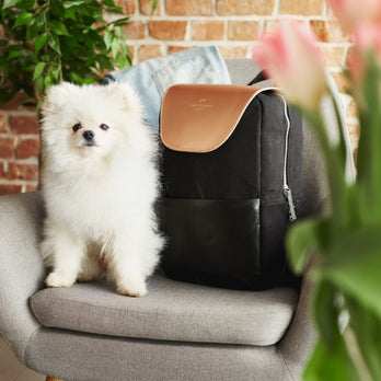 Saint Maniero Rucksack Damen I Rucksack Mädchen I Damenrucksack I Umhängetaschen DamenI Rucksack Frauen I Arbeitstasche Damen I Laptoptasche Damen I Tagesrucksack Damen I Daypack Damen